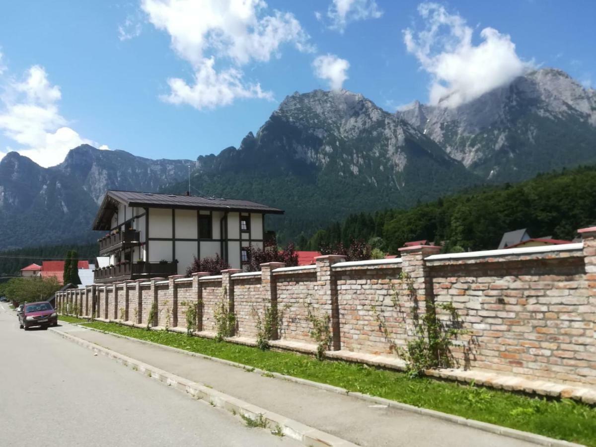 Vila Norbe Buşteni Extérieur photo